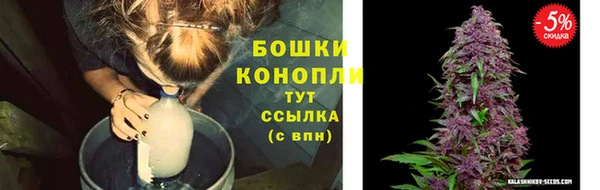 молекула духа Белоозёрский