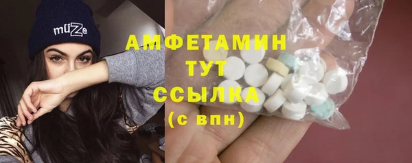 стаф Белокуриха