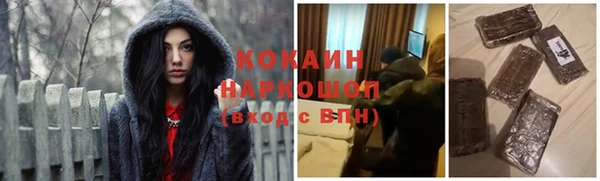 стаф Белокуриха