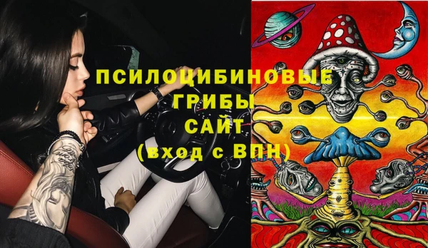 стаф Белокуриха