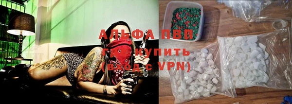 стаф Белокуриха