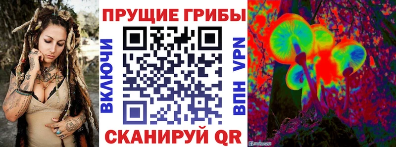 сколько стоит Южа Псилоцибиновые грибы Magic Shrooms